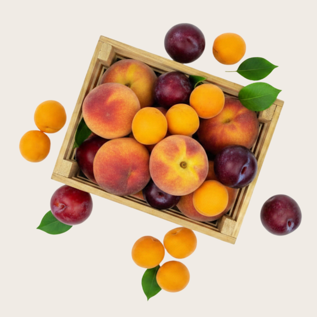 Caja mixta de 5kg